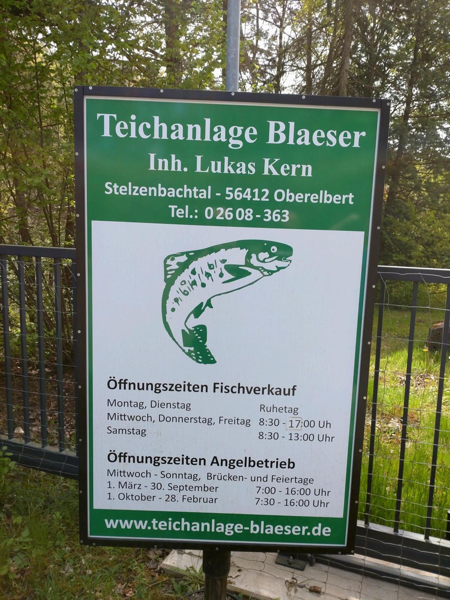 Gaestezimmer M. Schubert Oberelbert エクステリア 写真