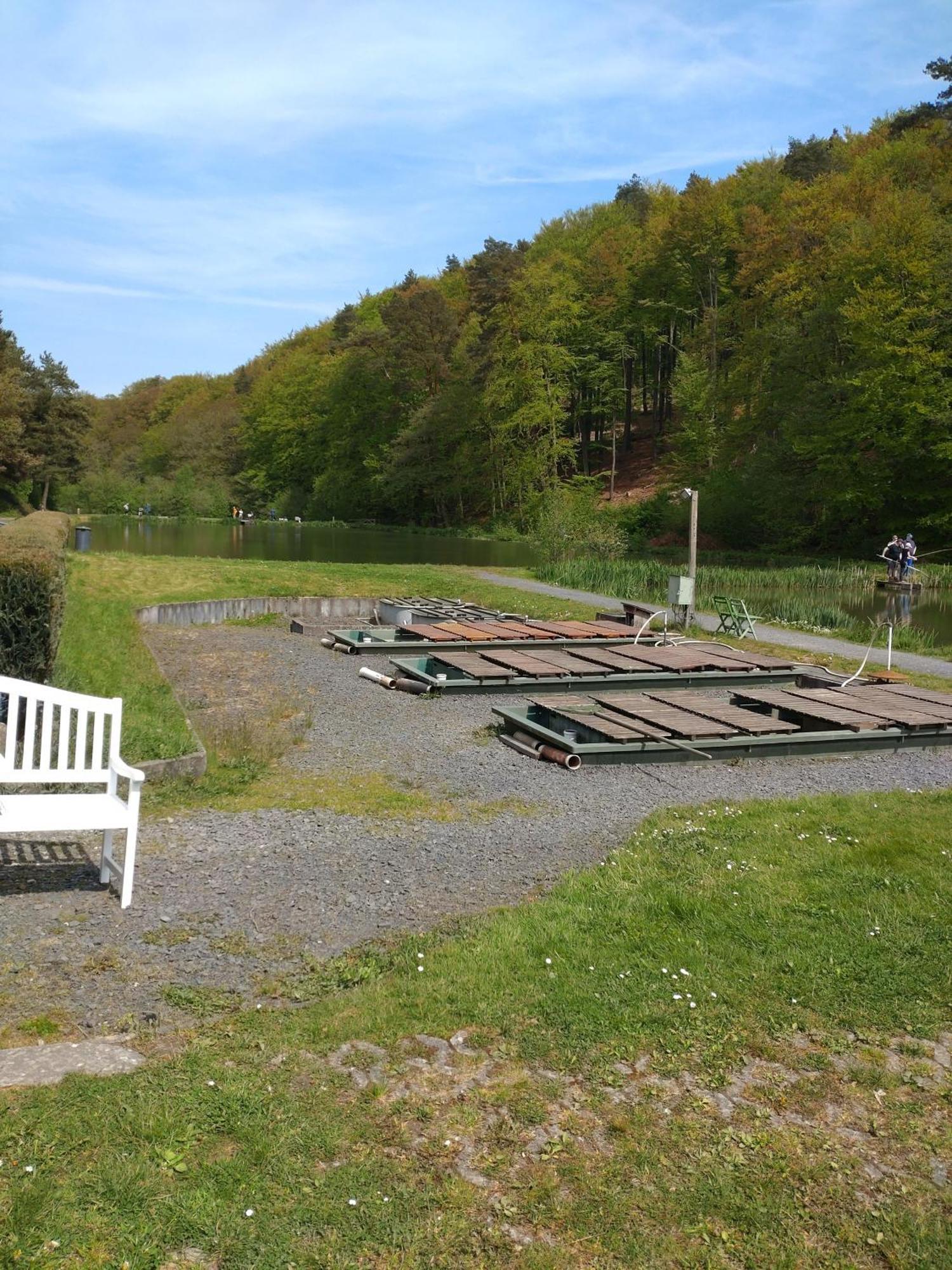 Gaestezimmer M. Schubert Oberelbert エクステリア 写真